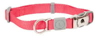 Dog Collars & Leashes - Collars